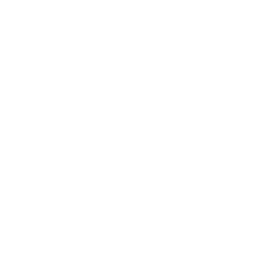 Rall Smart Business TikTok
